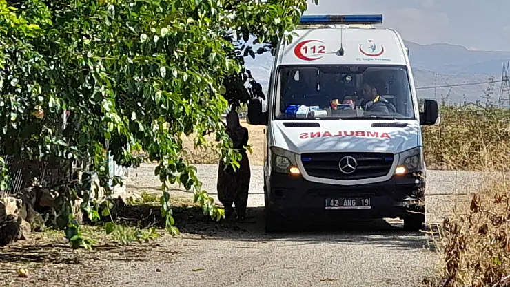 Konya'da ağaçtan düştü! Vücudunda kırıklar oluştu