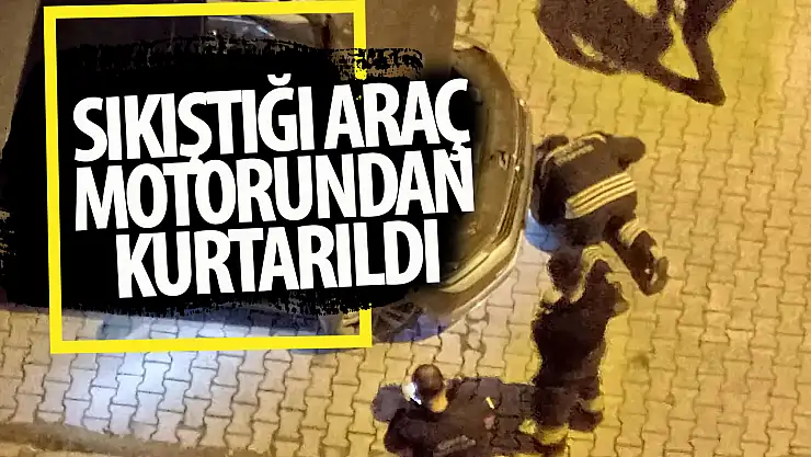 Konya'da araç motoruna sıkışan kedi kurtarıldı