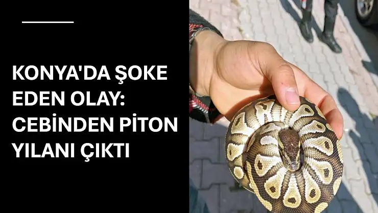 Konya'da asayiş kontrolü sırasında şoke eden olay: Cebinden piton yılanı çıktı!