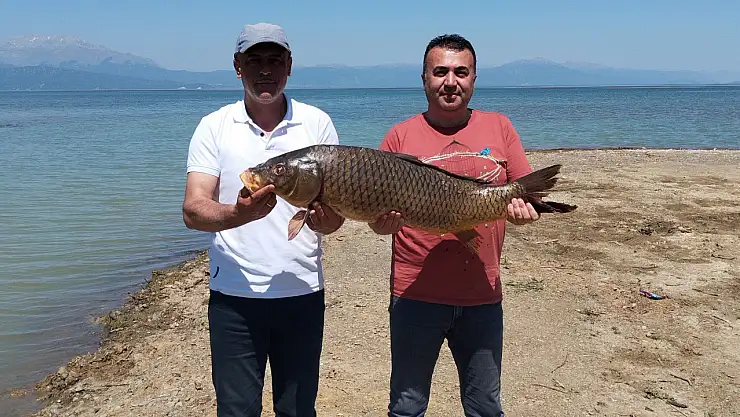 Konya'da ava takılan sazan şaşırttı!