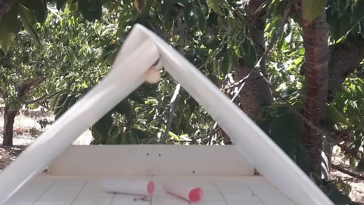 Konya'da bağ alanlarında hastalık ve tuzak var mı? Ekiplerden müdahale...