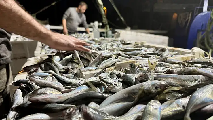 Konya'da balıkçılara şok ceza! Boy limitine takıldılar...