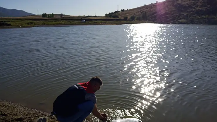 Konya'da balıkçılıkla uğraşanları sevindirecek haber! Göletlere bakın ne yapılıyor...