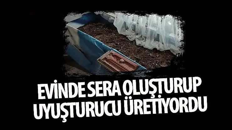 Konya'da bir şahıs evinde uyuşturucu serası oluşturdu!