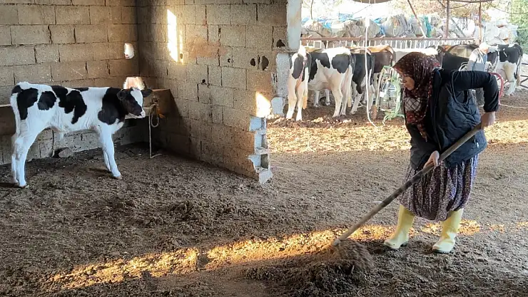 Konya'da 'Bu son olsun' dedi, hayatı değişti