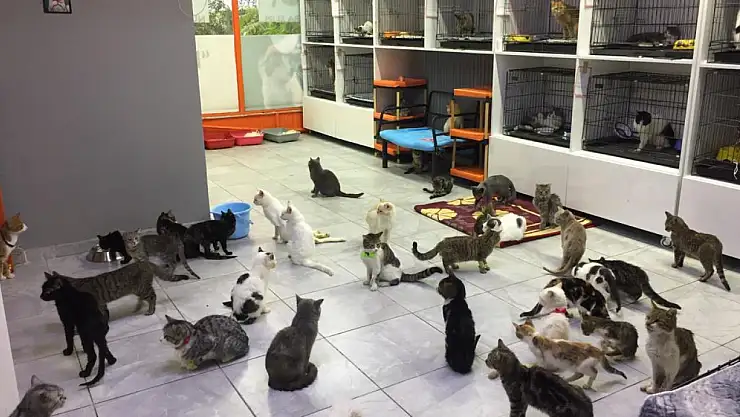 Konya'da bulunan HAYDOSEV yurttaşlardan destek bekliyor!