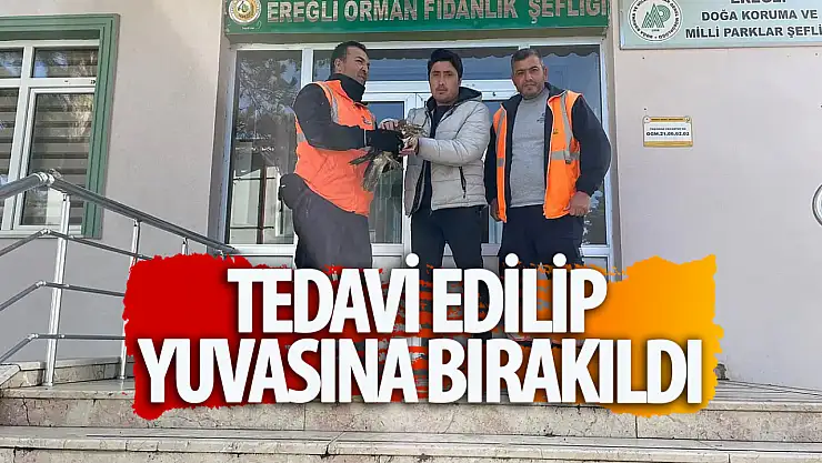 Konya'da bulunan yaralı şahin doğa koruma ekiplerine teslim edildi