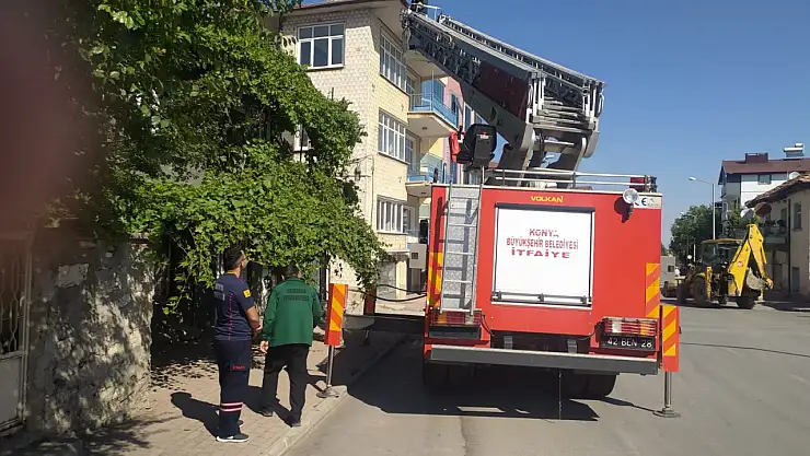 Konya'da çatıda mahsur kalan kedinin yardımına itfaiye ekipleri yetişti