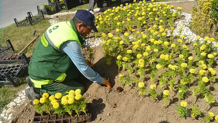 Konya'da çevre düzenleme çalışmaları devam ediyor