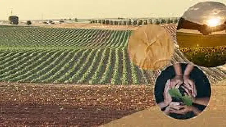 Konya'da çiftçilere müjde! O belgeyi alanlar destekleri kapacak...