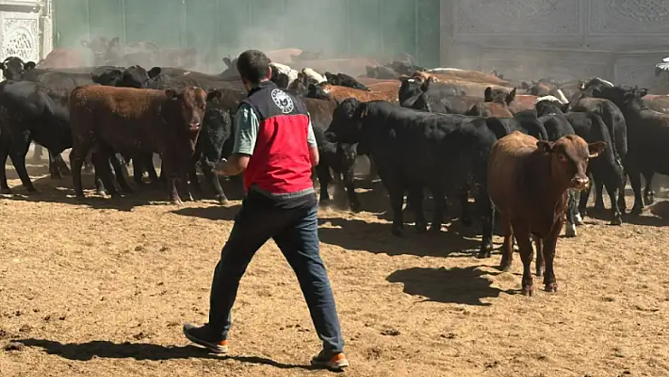 Konya'da çiftçilere rekor ceza: Bir biriyle çelişen 2 farklı tutanak!