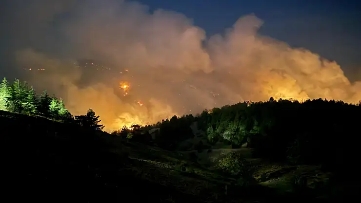 Konya'da çıkan orman yangınına müdahale devam ediyor