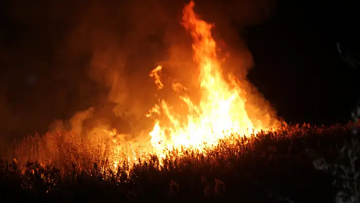 Konya'da çıkan yangın söndürüldü