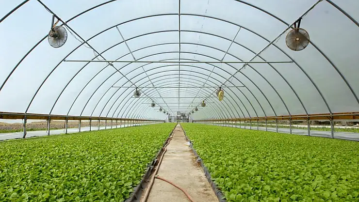 Konya'da dört gözle beklenen o projeye başvurular başladı! Destek verilecek...