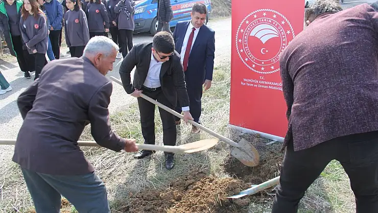 Konya'da dut ağacı fidan dikimi gerçekleştirildi!