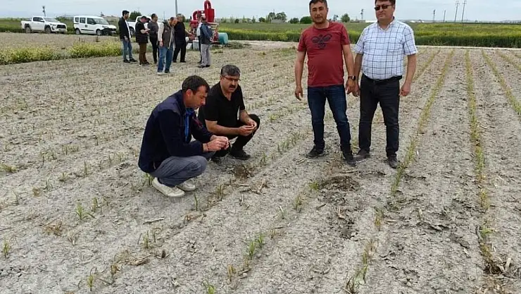 Konya'da ekili alanlarda neler oluyor? Yetkililer incelemelerini sürdürüyor!