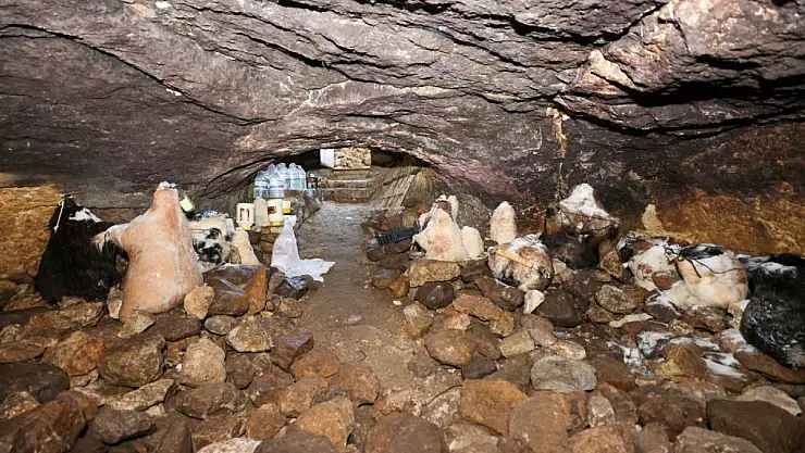 Konya'da geleneksel peynir çıkarma şöleni hazırlıkları başladı