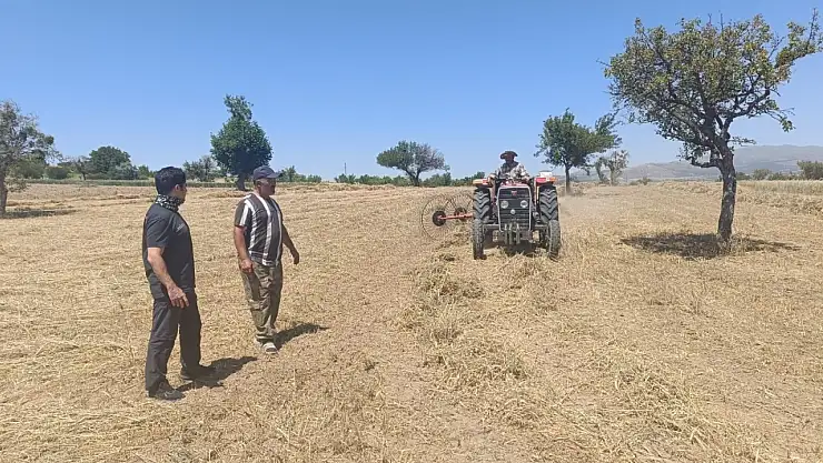 Konya'da hibe destekli arazilerde hasat zamanı!