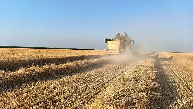 Konya'da hububat hasadı tamamlandı! Çiftçilerden şok hamle...