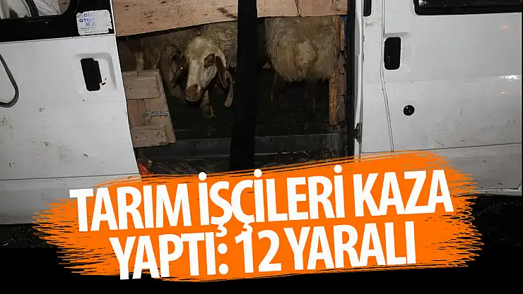 Konya'da işçileri taşıyan araç kaza yaptı: Çok sayıda yaralı var!