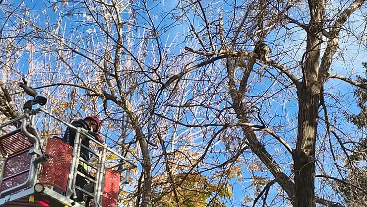Konya'da itfaiye ekiplerinden yardım bekleyen cana müdahale