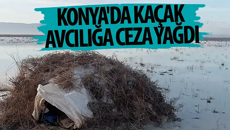 Konya'da kaçak avcılığa ceza yağdı!