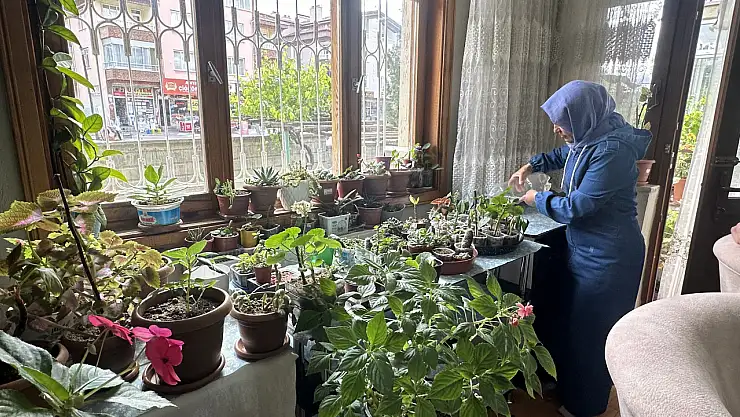 Konya'da kanser tedavisi görürken gelen çiçekleri çoğaltıp evini çiçek bahçesine çevirdi!