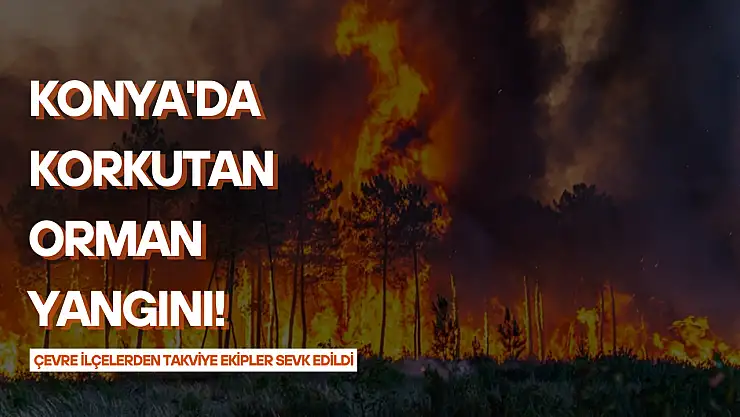 Konya'da korkutan orman yangını! Çevre ilçelerden takviye ekipler sevk edildi