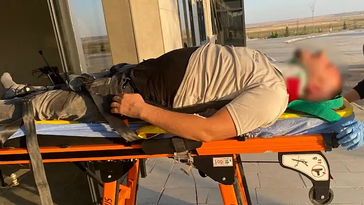 Konya'da koyun sürüsüne çarpan sürücü yaralandı