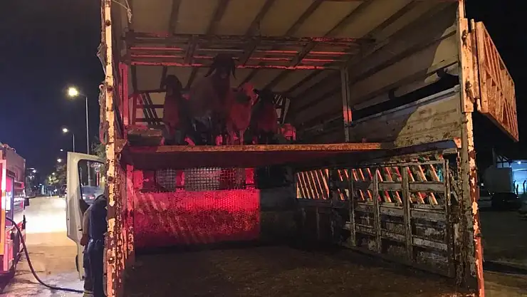 Konya'da koyunların bulunduğu kamyonet yandı