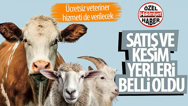 Konya'da Kurban Bayramı Hazırlıkları Tamam: Sağlıklı Kurban, Sağlıklı Çevre İçin Tüm Tedbirler Alındı