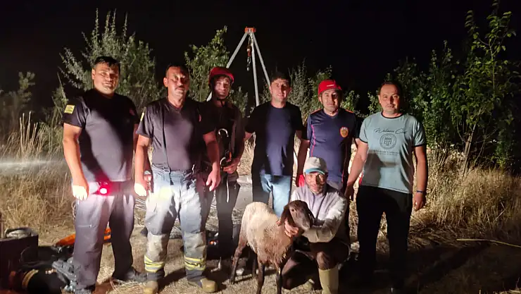 Konya'da kuyuya düşen koyunun yardımına itfaiye ekipleri yetişti