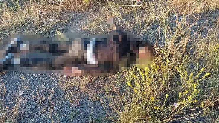 Konya'da motosiklet devrildi: 1 ağır yaralı