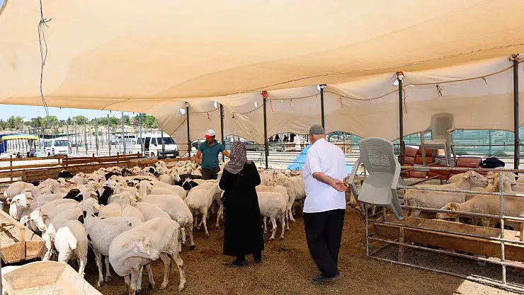 Konya'da o belediye kurban satış ve kesim yerlerini belirledi!