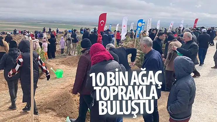 Konya'da Orman Haftası ve Ağaç Bayramı kutlanıyor
