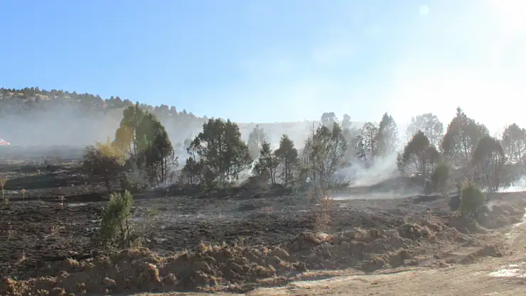 Konya'da orman yangını: 40 dönümlük arazi zarar gördü!