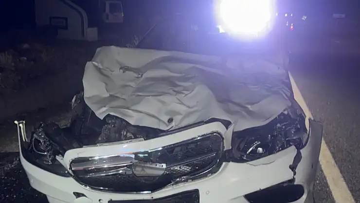 Konya'da otomobil hayvan sürüsüne daldı:  3 inek telef oldu