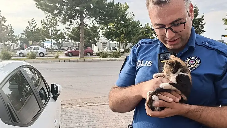 Konya'da polisten yavru kediye şefkat: Kurtarıp sahiplendiler