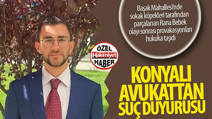 Konya'da Sahipsiz Köpeklerin Usulsüz Toplanmasıyla İlgili Suç Duyurusu