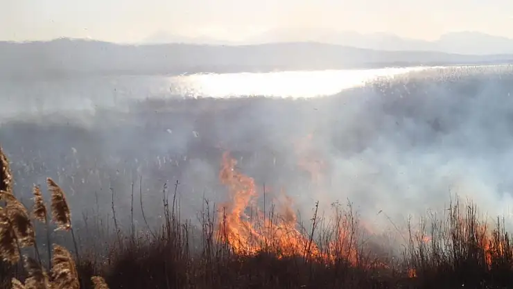 Konya'da sazlıklarda çıkan yangın balıkçıları korkuttu!