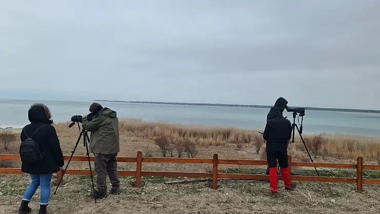 Konya'da su kuşu sayımı gerçekleşti!