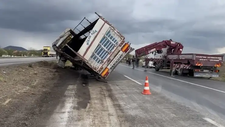 Konya'da tır kazasını fırsat bilen anguslar firar etti!