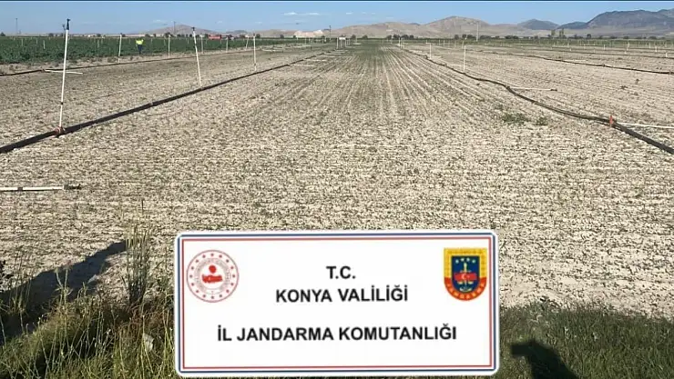 Konya'da uyuşturucu madde üreticilerine geçit yok!