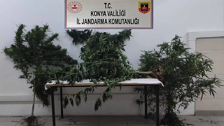 Konya'da  uyuşturucu operasyonu: 5 gözaltı