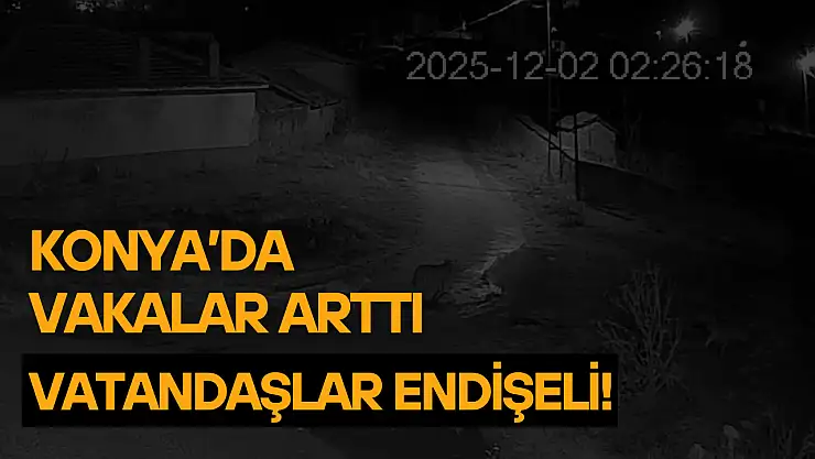 Konya'da vakalar arttı: Vatandaşlar endişeli!