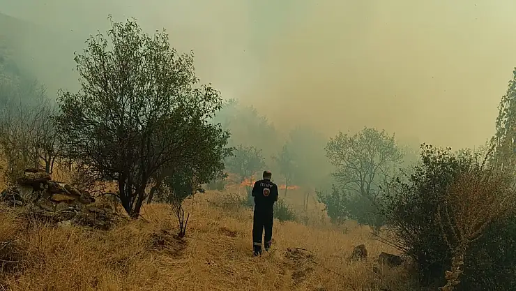 Konya'da yangın: Ormana sirayet etmeden söndürüldü!