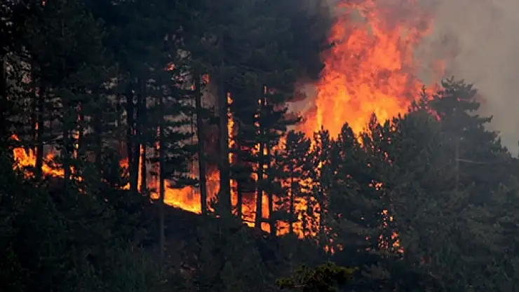 Konya'da yangın paniği!
