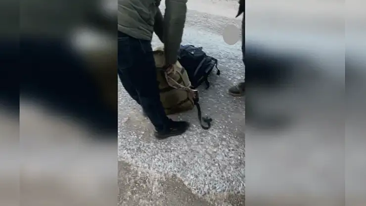 Konya'da yasa dışı ava rekor ceza: 2 keçi için 1.9 milyon TL