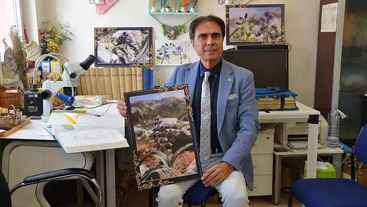 Konya'da yeni bitki türü keşfedildi: 'Konya Sümbülü'