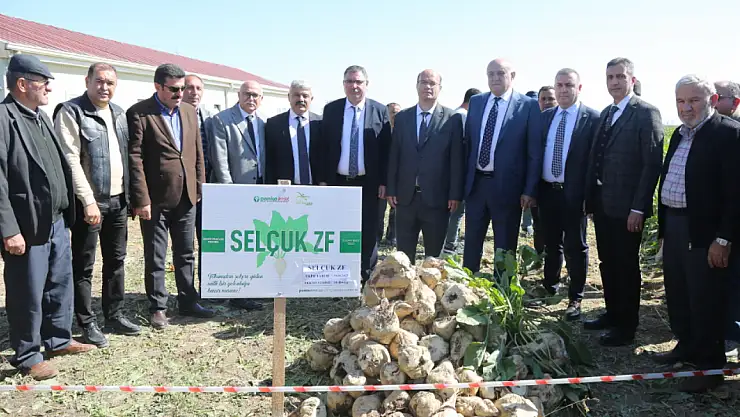 Konya'da yerli şeker pancarı tohumu tanıtıldı!